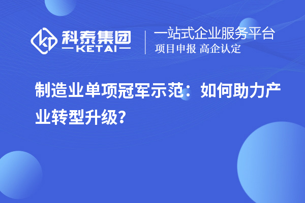 制造業單項冠軍示范：如何助力產業轉型升級？
