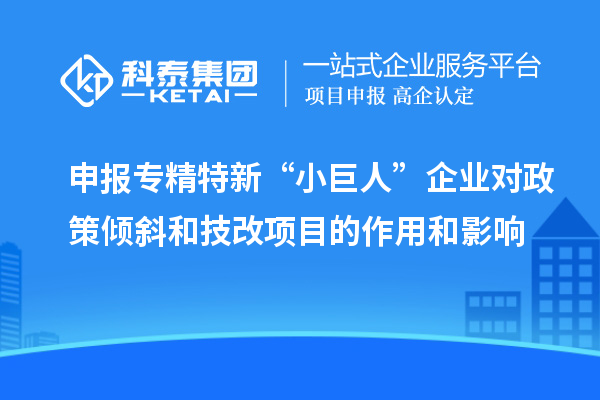 申報專精特新“小巨人”企業對政策傾斜和<a href=http://www.zh-tour.cn/fuwu/jishugaizao.html target=_blank class=infotextkey>技改</a>項目的作用和影響