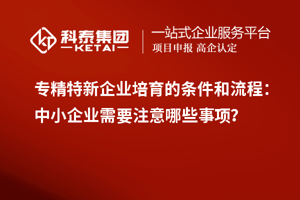 專精特新企業培育的條件和流程：中小企業需要注意哪些事項？