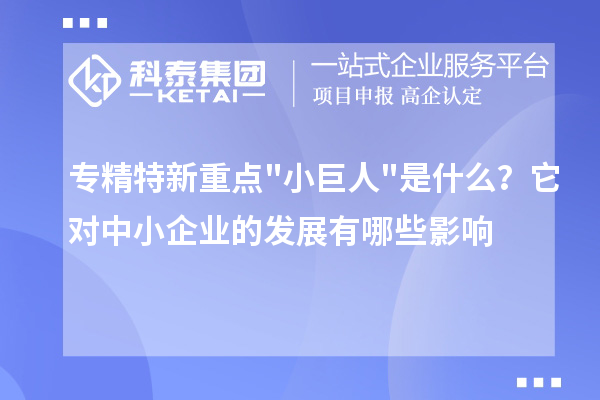 專精特新重點小巨人是什么？它對中小企業的發展有哪些影響