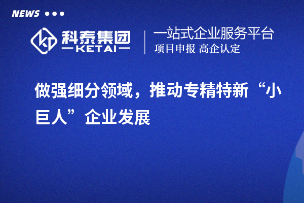 做強細分領域，推動專精特新“小巨人”企業發展