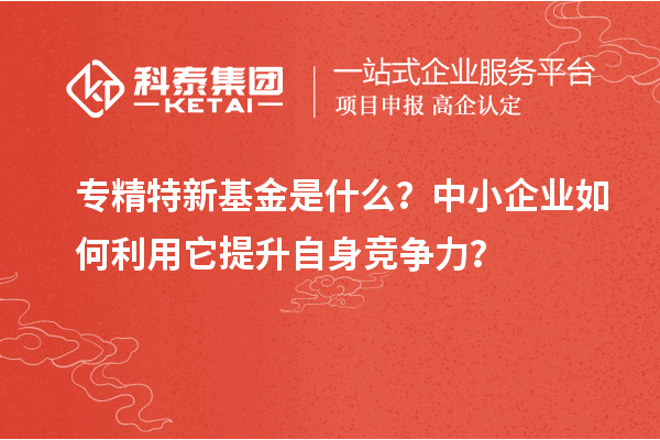 專精特新基金是什么？中小企業如何利用它提升自身競爭力？