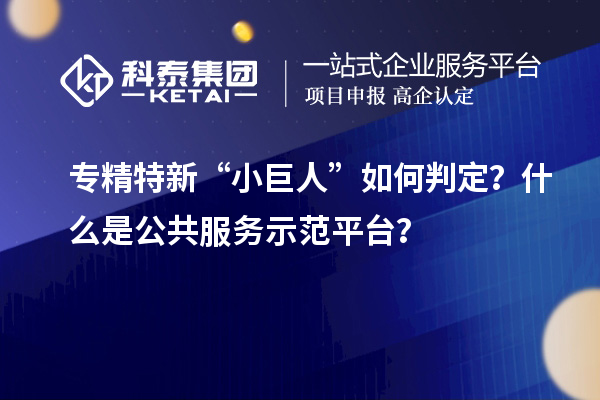 專精特新“小巨人”如何判定？什么是公共服務示范平臺？
