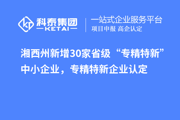 湘西州新增30家省級 “專精特新”中小企業，專精特新企業認定