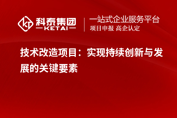 技術改造項目的核心要素：推動持續創新與發展的關鍵因素探討		 		
