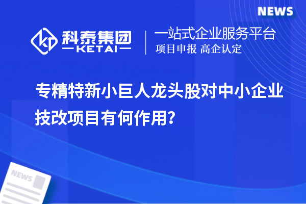 專精特新小巨人龍頭股對中小企業技改項目有何作用？