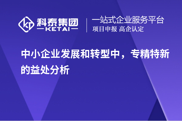 中小企業發展和轉型中，專精特新的益處分析		 		