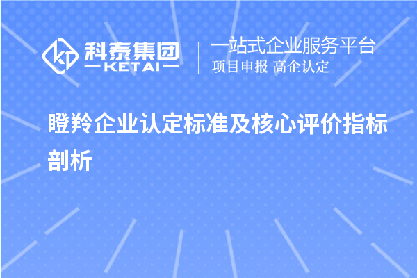 <a href=http://www.zh-tour.cn/fuwu/dengling.html target=_blank class=infotextkey>瞪羚企業認定</a>標準及核心評價指標剖析		 		