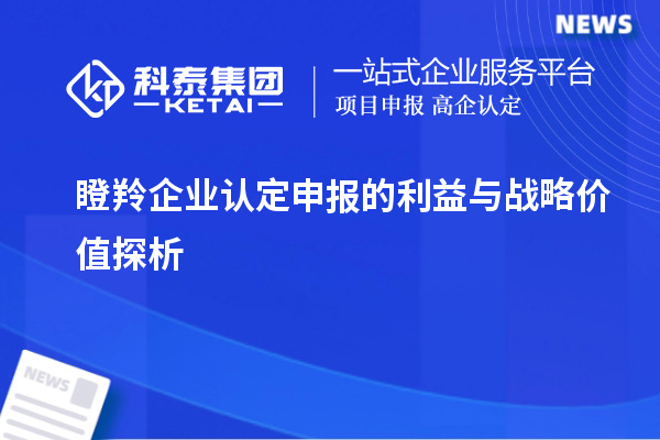 <a href=http://www.zh-tour.cn/fuwu/dengling.html target=_blank class=infotextkey>瞪羚企業認定</a>申報的利益與戰略價值探析		 		