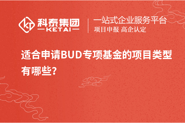 適合申請BUD專項基金的項目類型有哪些？