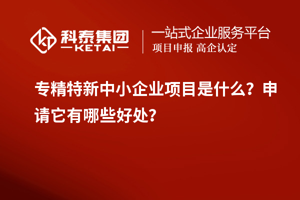 專精特新中小企業項目是什么？申請它有哪些好處？