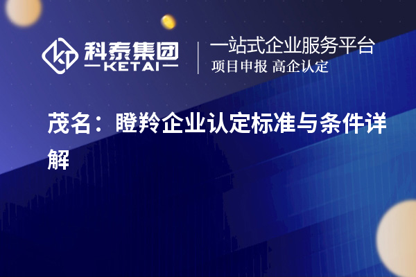 茂名：瞪羚企業認定標準與條件詳解