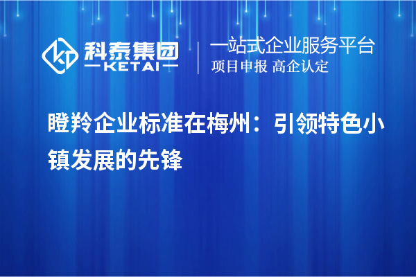 瞪羚企業標準在梅州：引領特色小鎮發展的先鋒