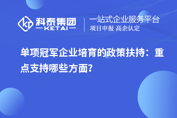單項冠軍企業培育的政策扶持：重點支持哪些方面？