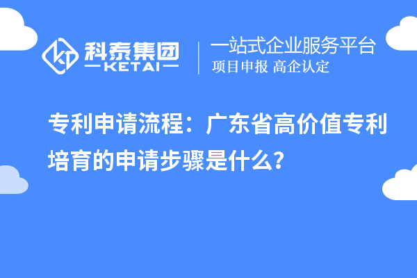 專利申請流程：廣東省高價值專利培育的申請步驟是什么？