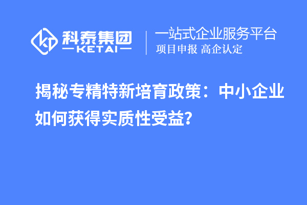 揭秘專精特新培育政策：中小企業如何獲得實質性受益？