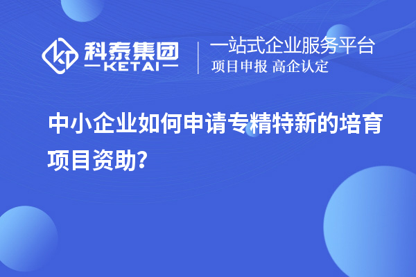 中小企業如何申請專精特新的培育項目資助？