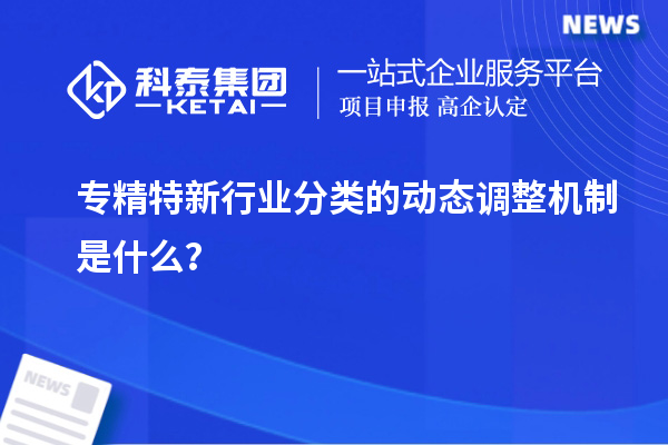 專精特新行業分類的動態調整機制是什么？