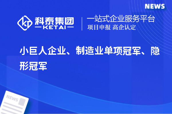 小巨人企業、制造業單項冠軍、隱形冠軍