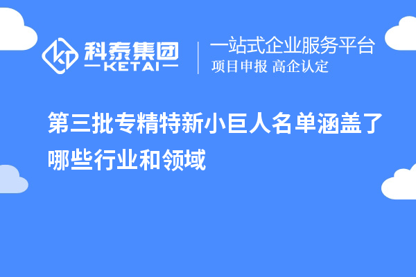 第三批專精特新小巨人名單涵蓋了哪些行業和領域