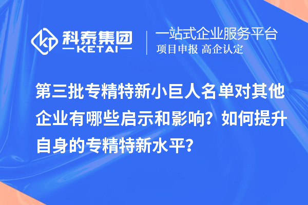 第三批專精特新小巨人名單對其他企業有哪些啟示和影響？如何提升自身的專精特新水平？