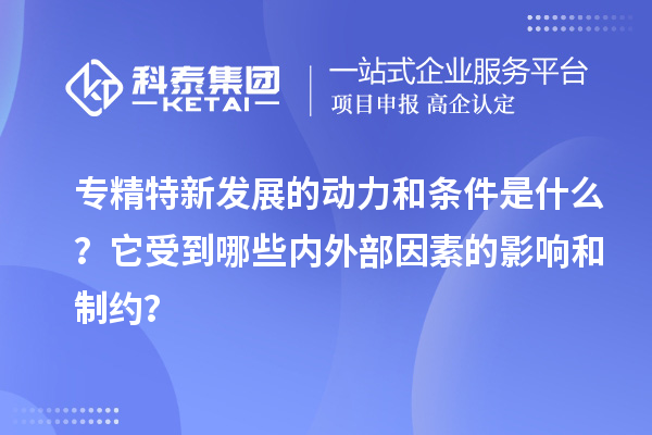 專精特新發展的動力和條件是什么？它受到哪些內外部因素的影響和制約？