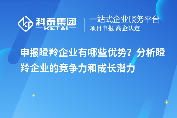 申報瞪羚企業有哪些優勢？分析瞪羚企業的競爭力和成長潛力