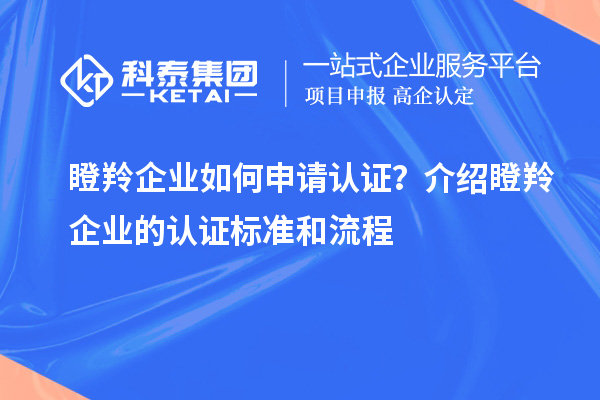 瞪羚企業如何申請認證？介紹瞪羚企業的認證標準和流程