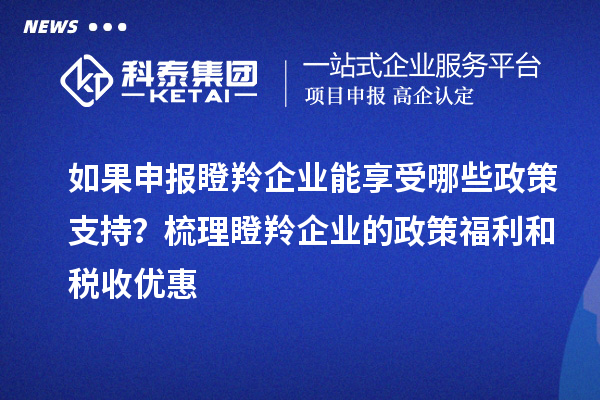 如果申報瞪羚企業能享受哪些政策支持？梳理瞪羚企業的政策福利和稅收優惠
