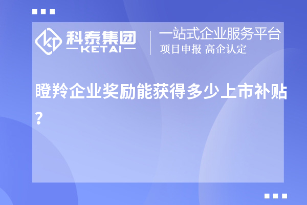 瞪羚企業獎勵能獲得多少上市補貼？