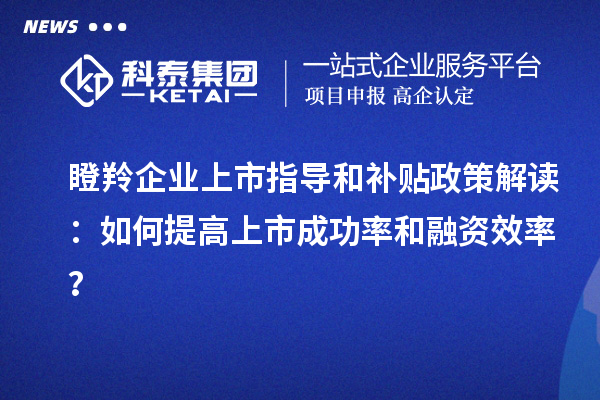 瞪羚企業上市指導和補貼政策解讀：如何提高上市成功率和融資效率？