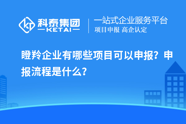 瞪羚企業有哪些項目可以申報？申報流程是什么？