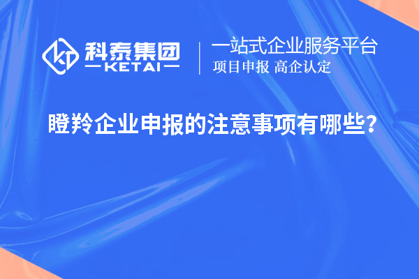 瞪羚企業申報的注意事項有哪些？