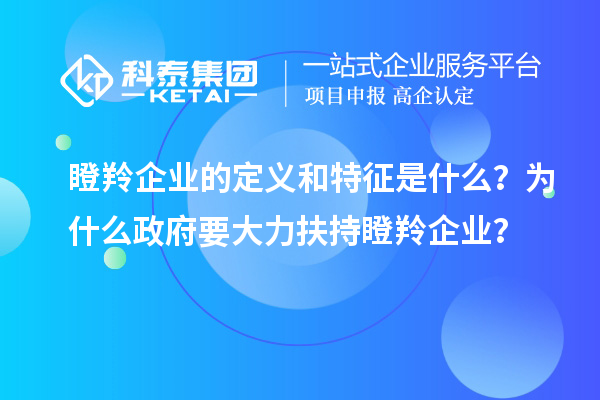 瞪羚企業的定義和特征是什么？為什么政府要大力扶持瞪羚企業？