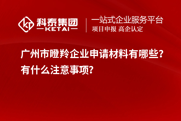 廣州市瞪羚企業申請材料有哪些？有什么注意事項？