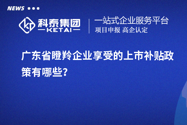 廣東省瞪羚企業享受的上市補貼政策有哪些？