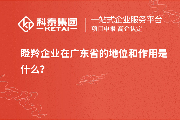 瞪羚企業在廣東省的地位和作用是什么？