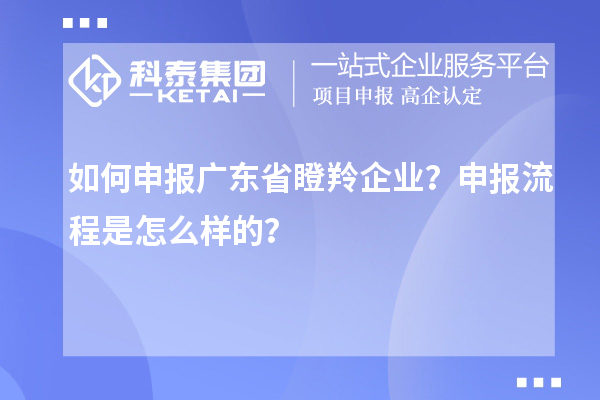 如何申報廣東省瞪羚企業？申報流程是怎么樣的？
