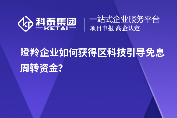 瞪羚企業如何獲得區科技引導免息周轉資金？