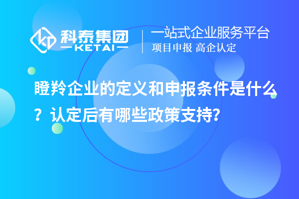 瞪羚企業的定義和申報條件是什么？認定后有哪些政策支持？
