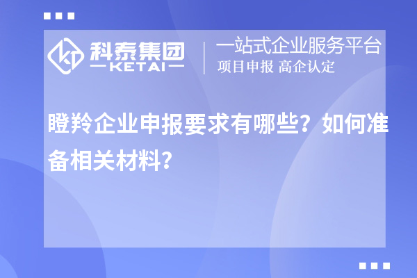 瞪羚企業申報要求有哪些？如何準備相關材料？
