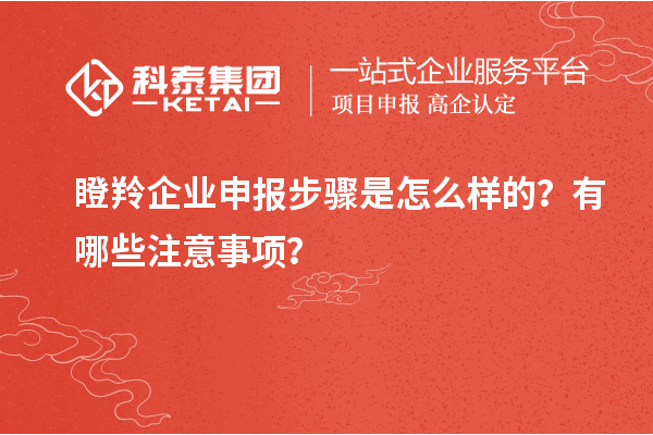瞪羚企業申報步驟是怎么樣的？有哪些注意事項？