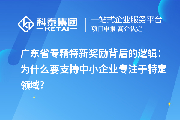 廣東省專精特新獎勵背后的邏輯：為什么要支持中小企業專注于特定領域?