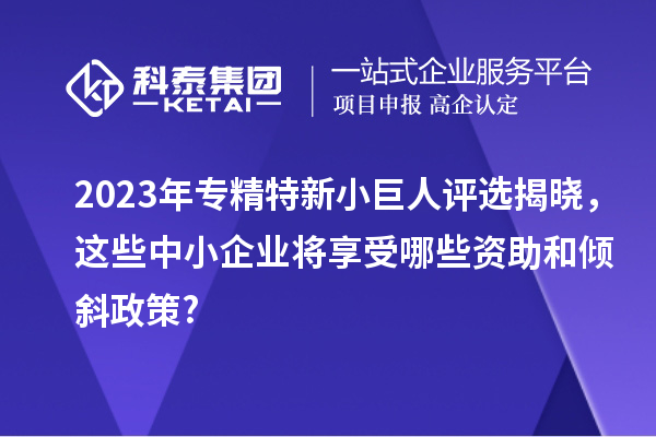 2023年專精特新小巨人評選揭曉，這些中小企業將享受哪些資助和傾斜政策?