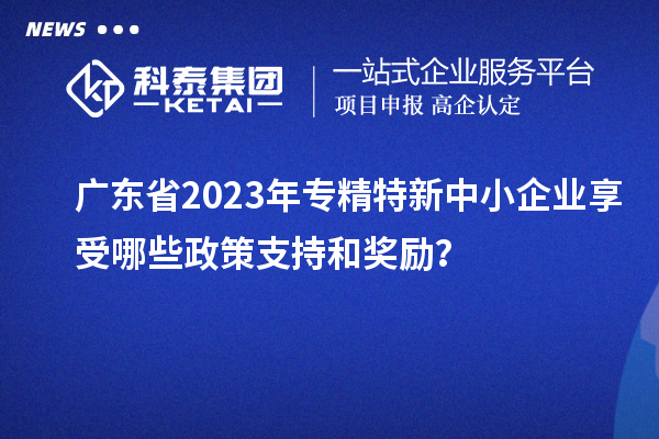 廣東省2023年專精特新中小企業享受哪些政策支持和獎勵？
