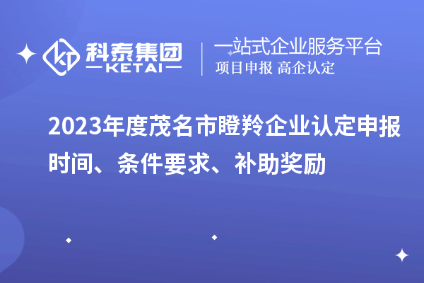 2023年度茂名市瞪羚企業認定申報時間、條件要求、補助獎勵