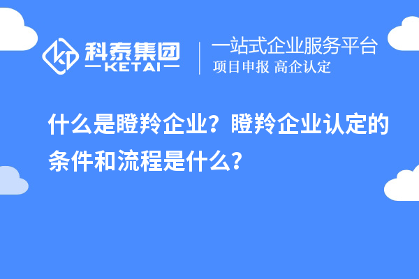 什么是瞪羚企業？瞪羚企業認定的條件和流程是什么？