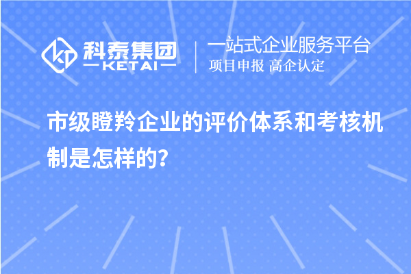 市級瞪羚企業的評價體系和考核機制是怎樣的？