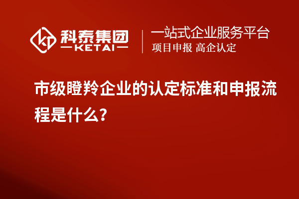 市級瞪羚企業的認定標準和申報流程是什么？