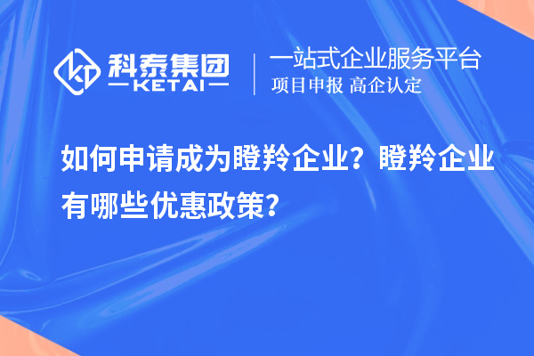 如何申請成為瞪羚企業？瞪羚企業有哪些優惠政策？